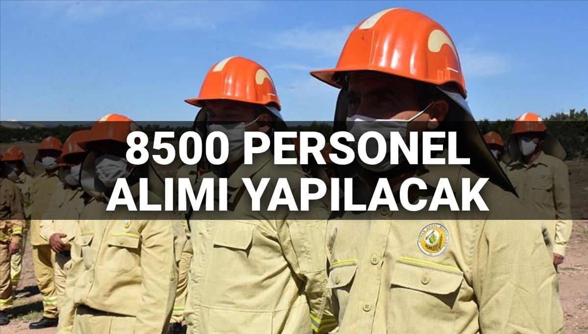 Tarım ve Orman Bakanlığı personel alımı tarihleri 2025: 8500 personel alımı ne zaman yapılacak, şartlar açıklandı mı? Kadro ve branş dağılımı belli oldu