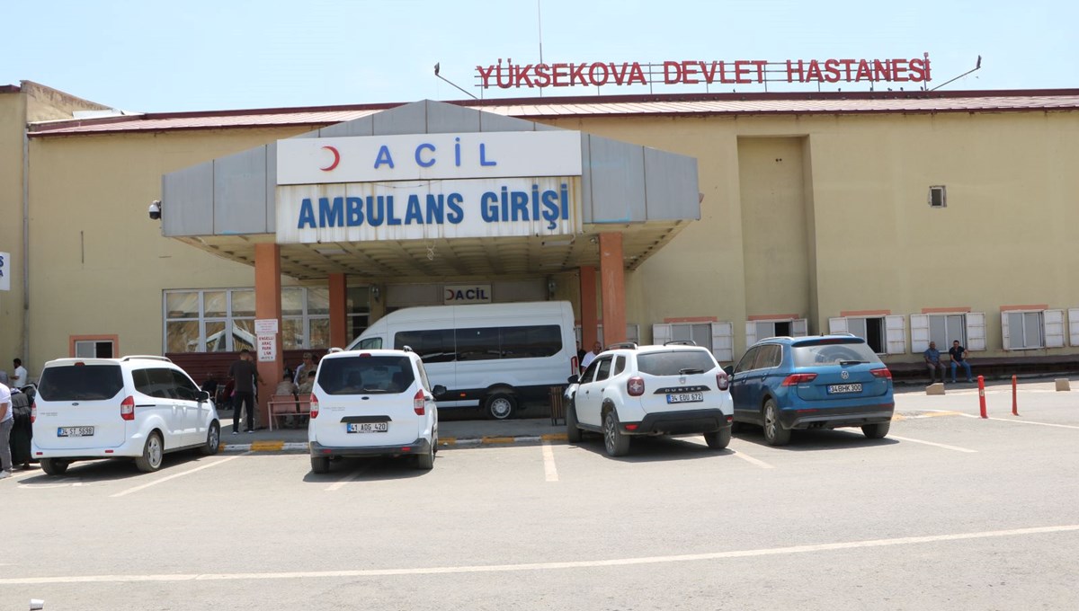 Hayvan otlatırken yorgun mermi isabet etti