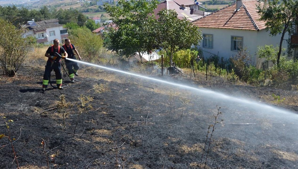 Samsun'da arazi yangını
