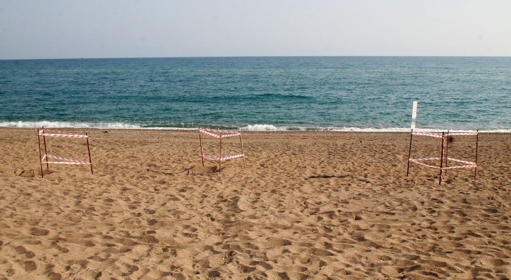 Caretta yuvalama alanına ATV ile daldılar - 4