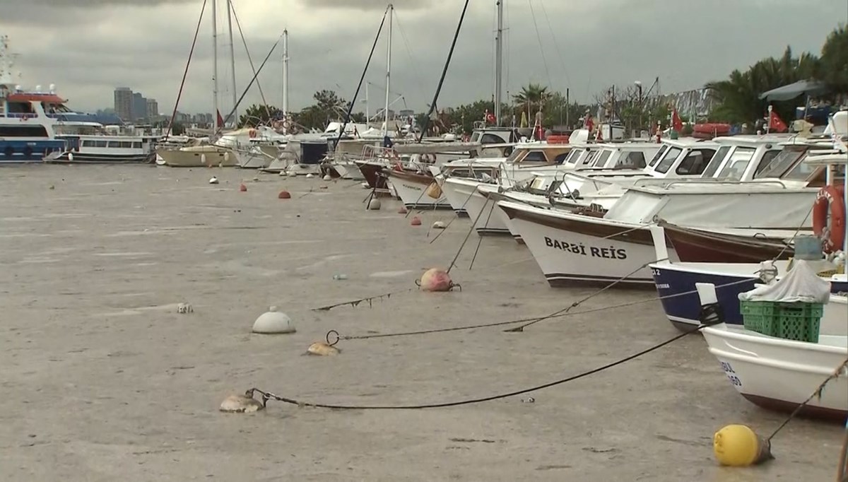 İşte Bostancı sahilinin hali: ‘‘Marmara artık bir şey anlatmaya çalışıyor’’