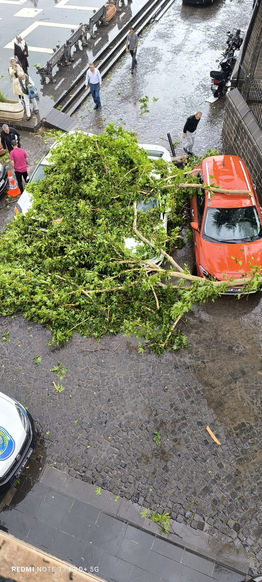 Sur ilçesinde bazı ağaçların kırılan dalları, araçların üzerine düştü