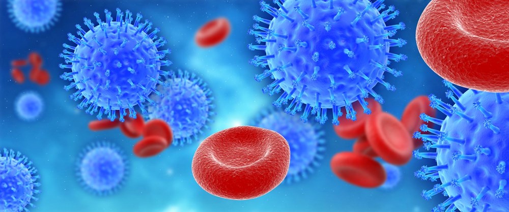 Dünyada kuş gribi kaynaklı ilk insan ölümü gerçekleşti: Kuş gribi pandemiye neden olur mu? - 4