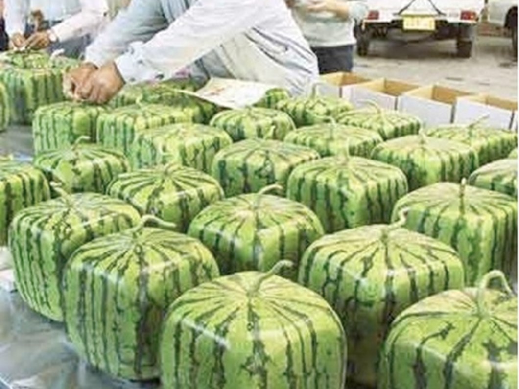 yangin zanlisi baba ogul gozaltinda ntv