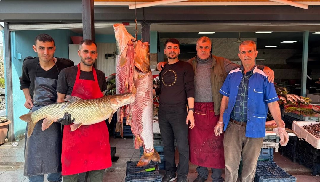 25, 50 ve 100 kiloluk 3 turna balığı yakaladı: 1 saat içerisinde tükendi
