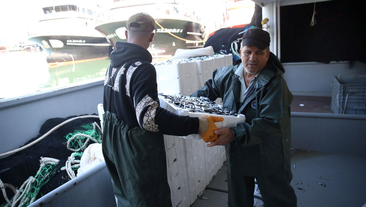 Limana kasalar dolusu hamsiyle döndüler