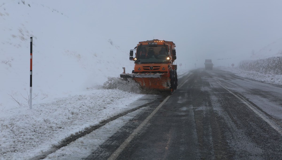 'Turuncu kar kaplanları'nın 2 bin rakımda zorlu mücadelesi