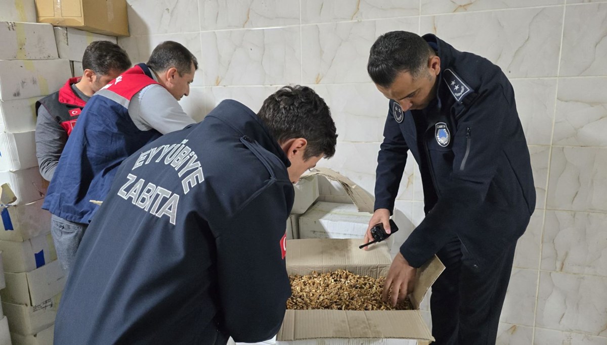 11 ton küflenmiş ve kurtlanmış ceviz ele geçirildi