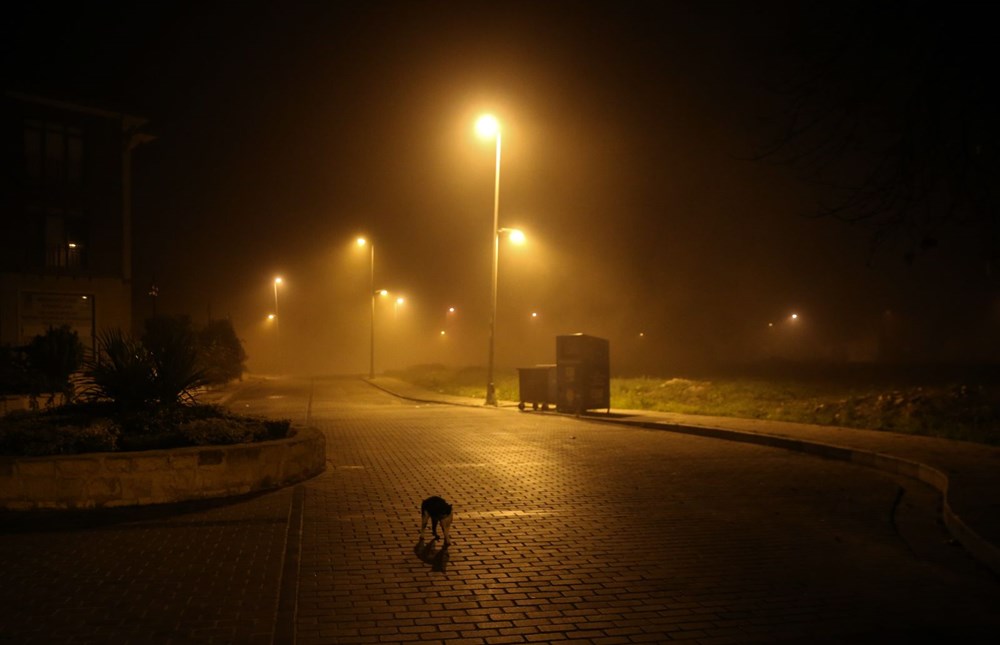 İstanbul'da yoğun sis etkili oldu - 17