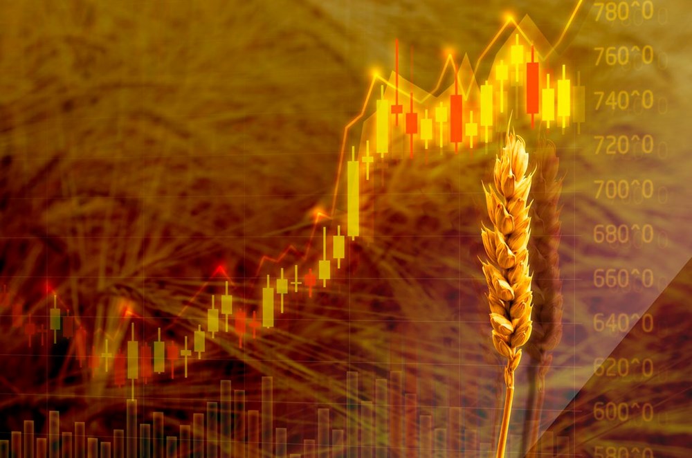 Rusya-Ukrayna savaşı ve pandemi zenginlere yaradı: Gıda ve enerji milyarderlerinin serveti 453 milyar dolar arttı - 3