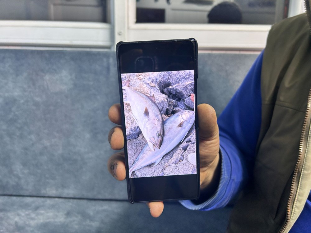 ujpmhEIVYkqvCrTeIpPM g