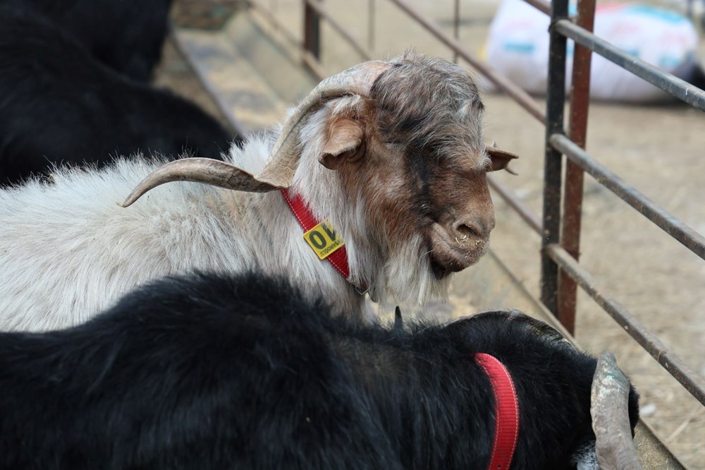 ukj2wg8Xv0Kf HNVbqqiw