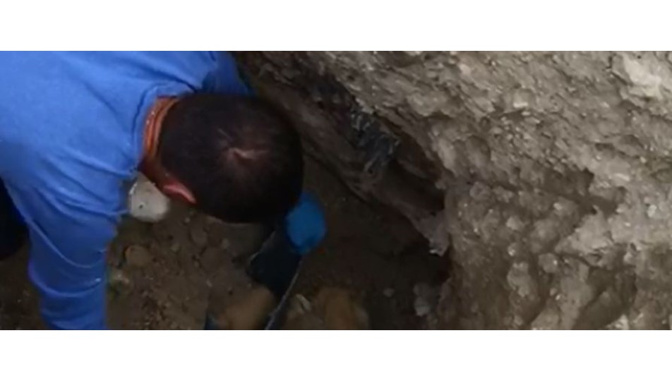 Burdur'da barınak yakınındaki çukurlarda kedi ve köpek ölüleri bulundu