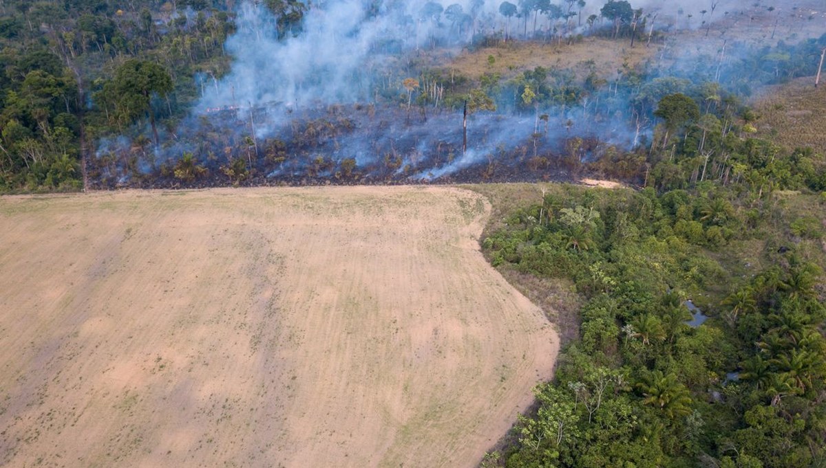 Amazonlar'da ormansızlaşma rekor kırdı