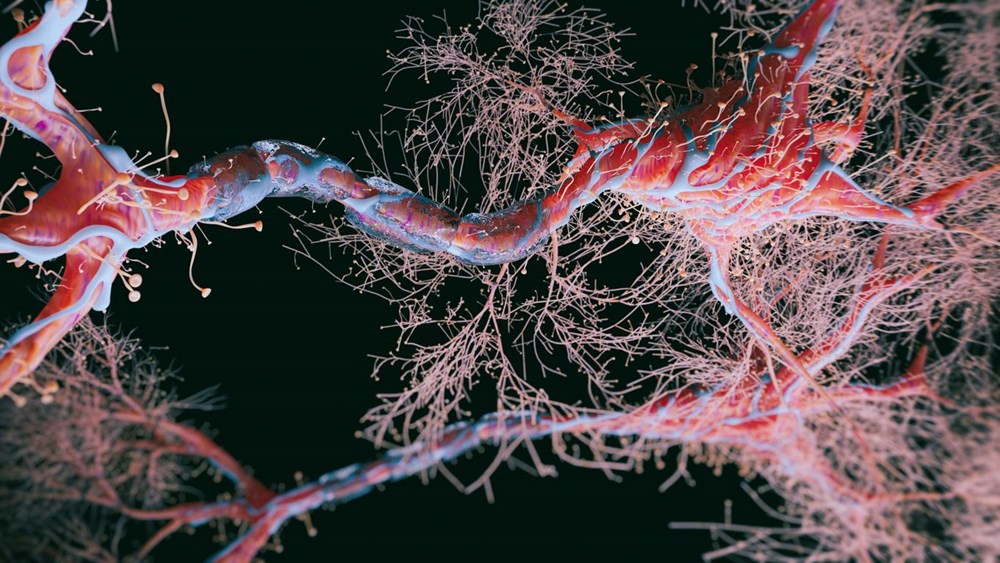 Japon bilim insanları dünyanın ilk düşünen robotunu geliştirdi: Kendi iradesine sahip makineler çağı başlıyor - 6