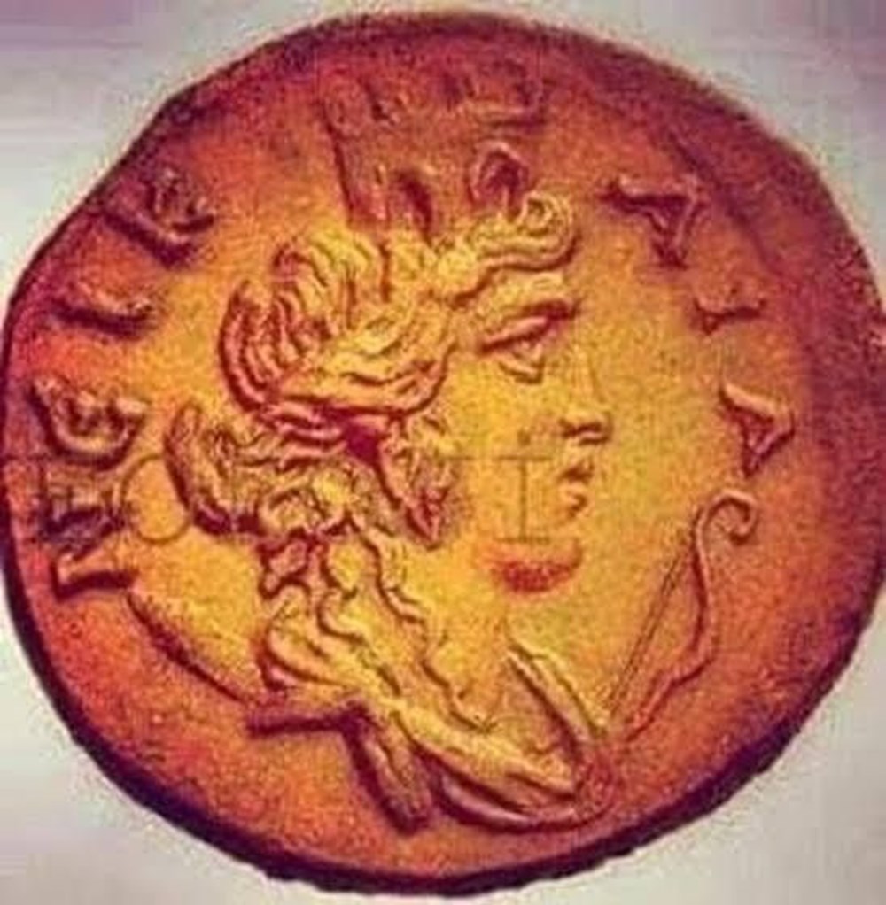 Lahit tarlası için koruma tedbirleri - 4