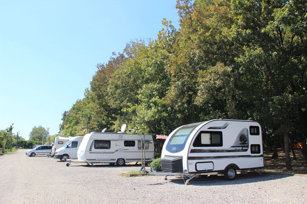 Avrupa'n�n en b�y�k do�al ya�am merkezi Ormanya