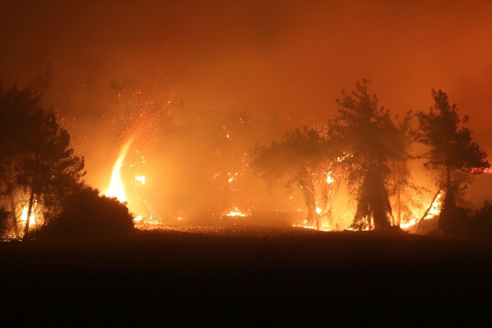 Antalya, Adana, Mersin, Aydın, Muğla, Osmaniye ve Kayseri'de orman yangınları - 33