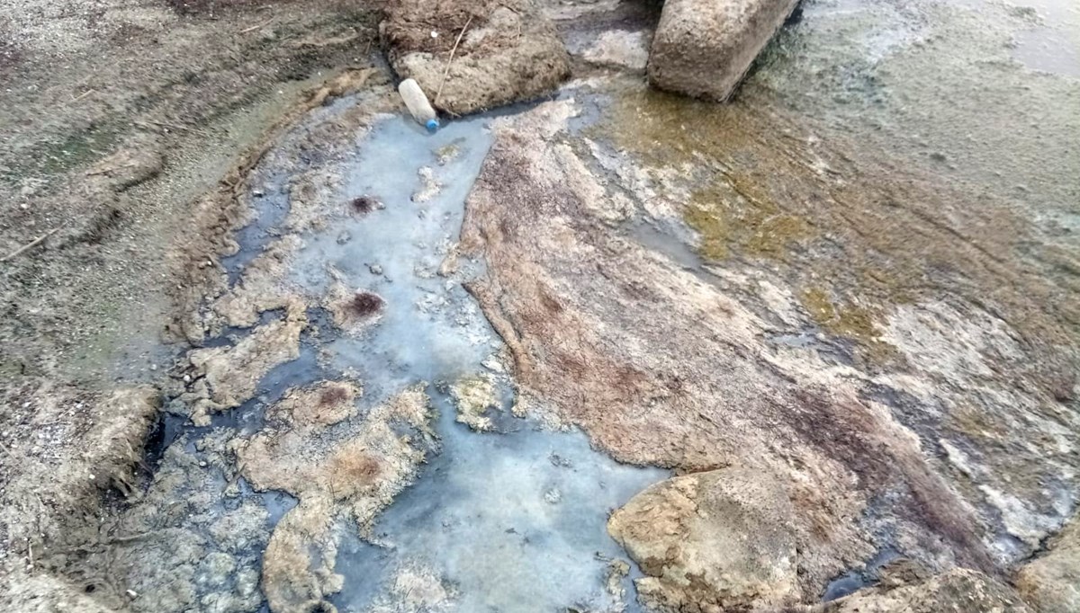 Göller için 'siyonobakteri' uyarısı