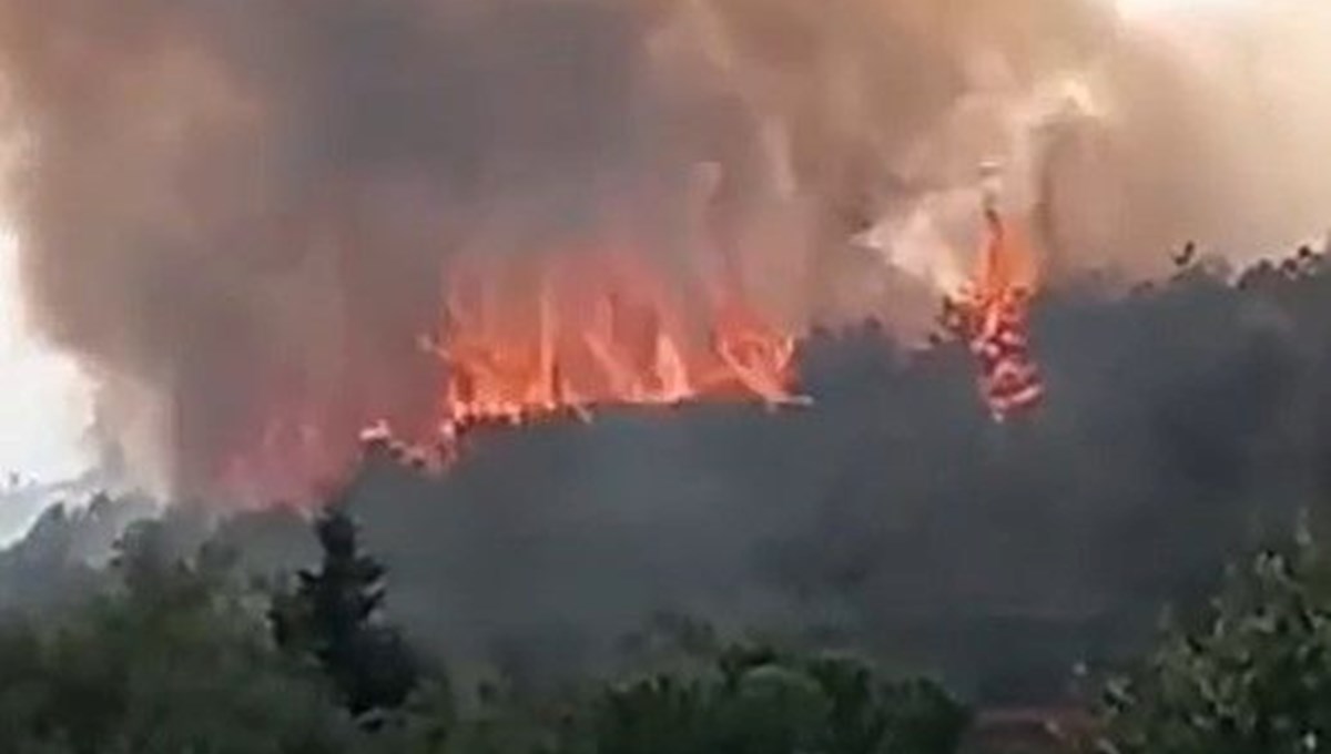 Kocaeli'de ormanlık alanda yangın çıktı Kocaeli'de ormanlık alanda yangın çıktı