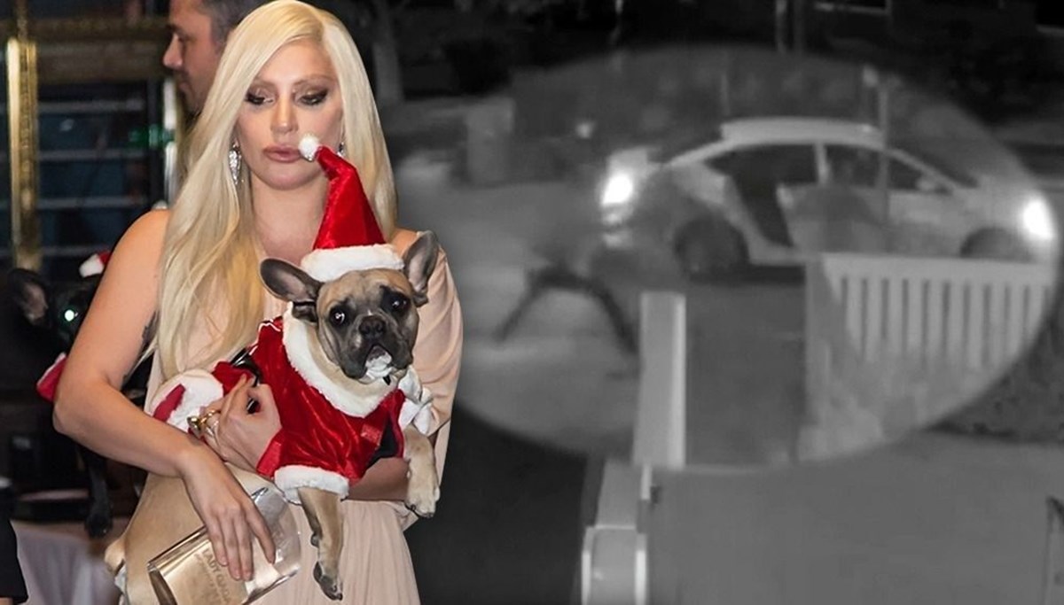Lady Gaga’nın köpeklerini teslim eden kadın tutuklandı