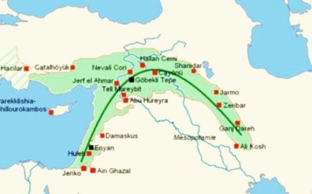 Kedilerle ilgili yeni keşif: Anavatanı Mezopotamya mı? - 2