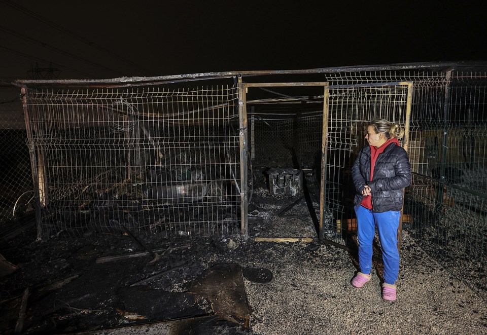 Başkentte sokak hayvanlarına ait barınak yandı - 2
