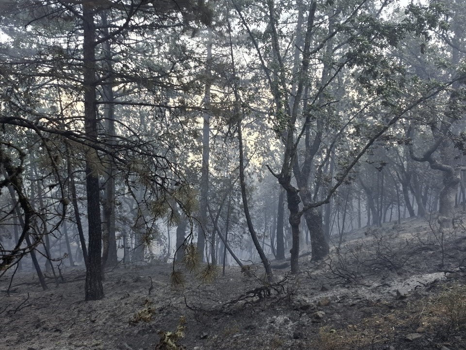 İşte Bursa'yı yakan kıvılcım - 1