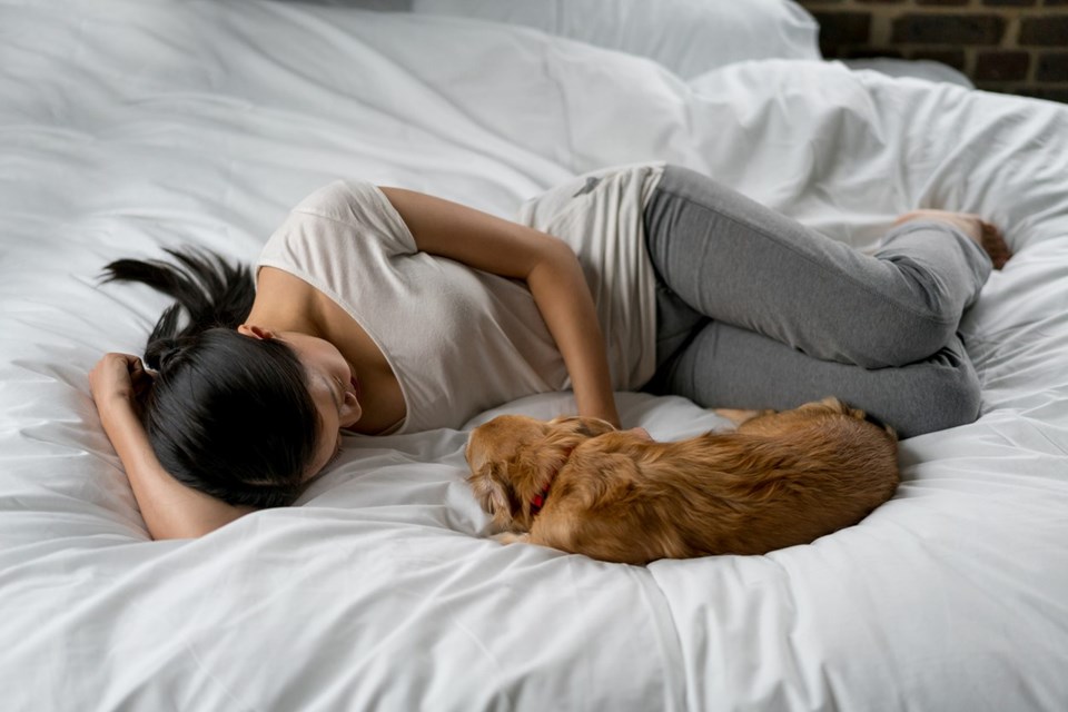 Evcil hayvanlarla uyumak kalitesiz bir uykuya sebep olabilir - 1