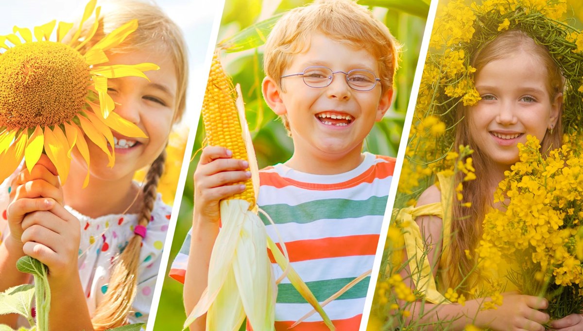 1000 Çiftçi 1000 Bereket Programı ile tarlada sürdürülebilir gelecek