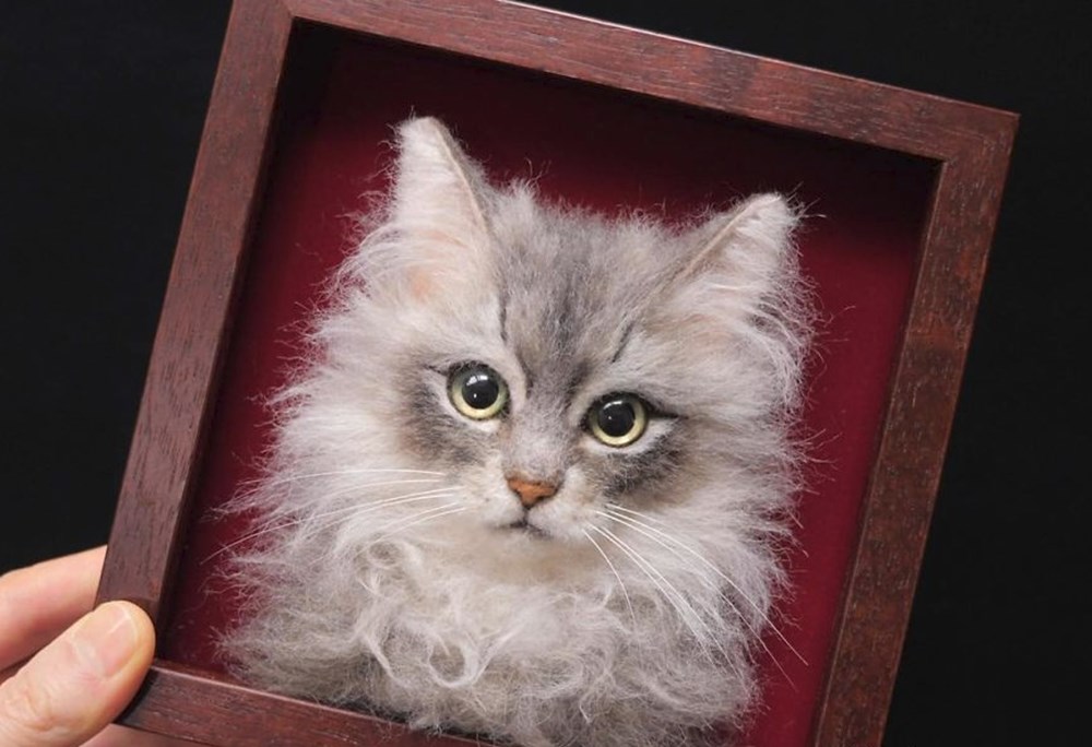 Japon sanatçıdan 3 boyutlu kedi portreleri NTV