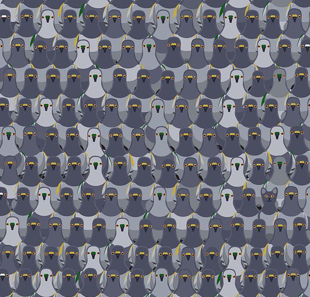 Dikkat Testi Resimdeki Dort Yaprakli Yoncayi Bulabilir Misiniz Ntv