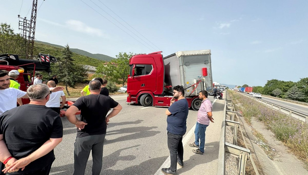 İstanbul-Bursa karayolunda trafiğe arı engeli