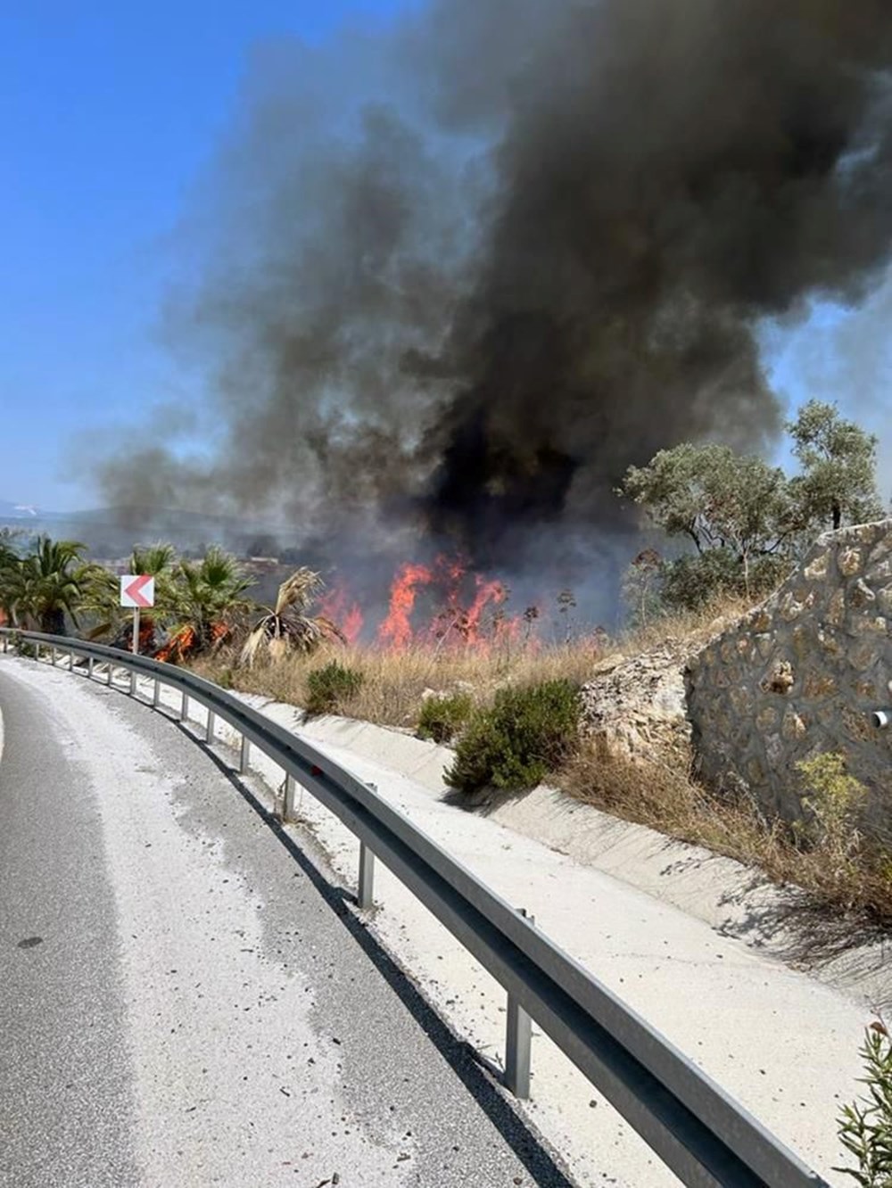 İzmir, Muğla, Balıkesir ve Kahramanmaraş’ta orman yangınları (Alevlerle mücadele sürüyor) - 5