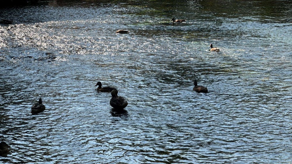 NASA'nın "Vay be" paylaşımından sonra Kadın Azmağı'nı kuraklık vurdu - 3