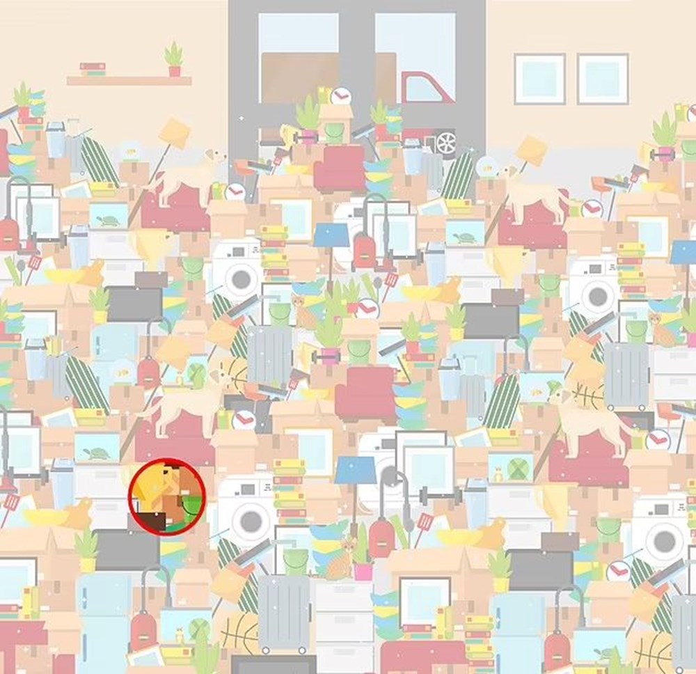 Bu görsel size kim olduğunuzu söylüyor: Resimde ilk önce hangi hayvanı gördünüz? - 64