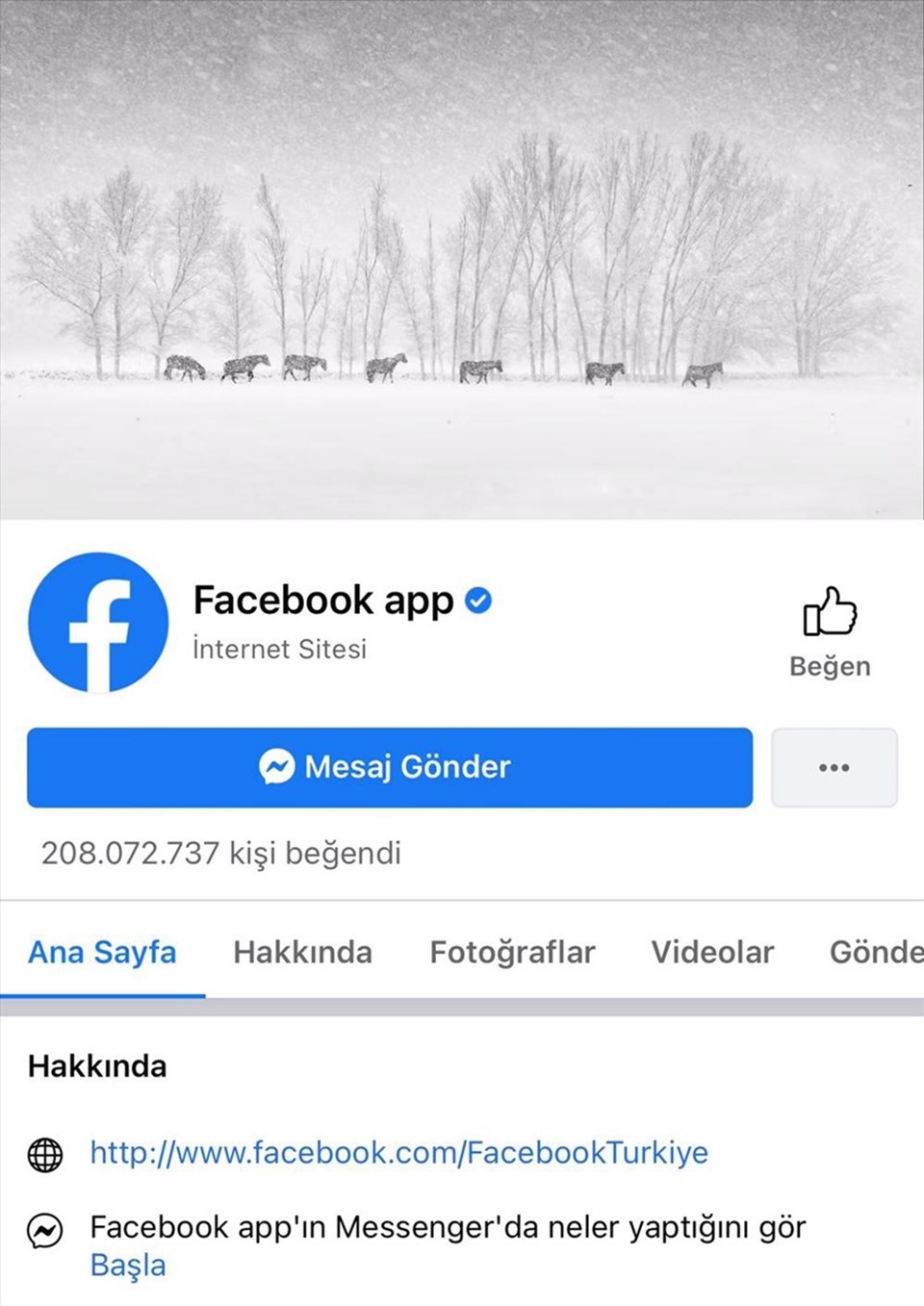 Facebook Türkiye, Hürmetçi'nin yılkı atlarını kapak fotoğrafı yaptı - 1