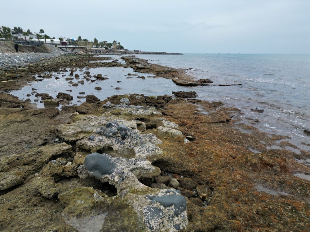 Deniz Yeniden Sahneye Çıkıyor: Çekilme Sonrası Normalleşme Başladı 73 v8Lf97Y6gk ukM cAiHCmw