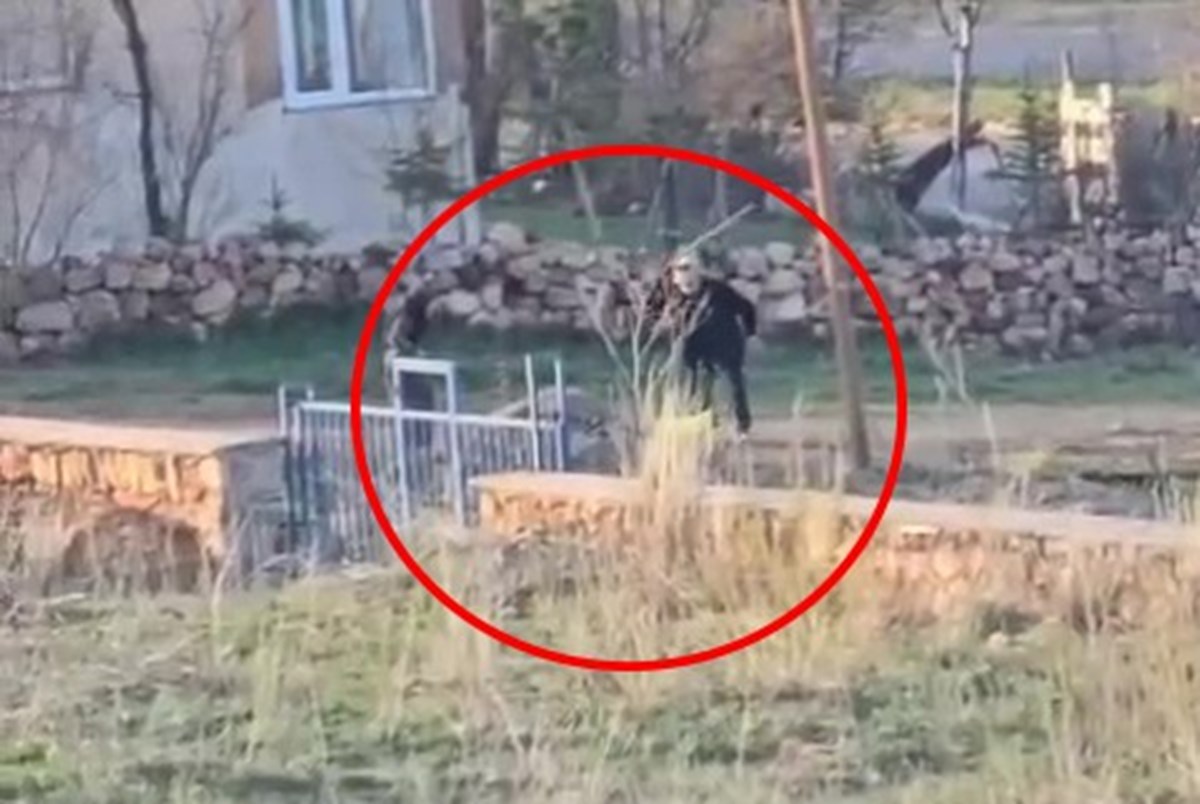 Eşeğin şiddete uğradığı anlar Eşeğin şiddete uğradığı anlar