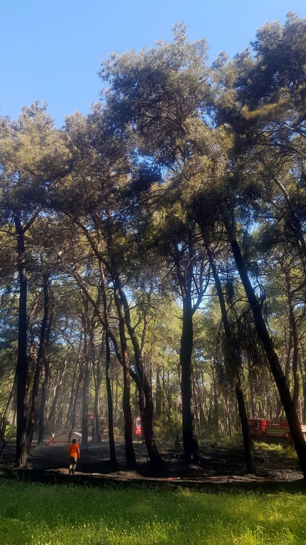 Manavgat’ta oteller bölgesine yakın noktada orman yangını - 6