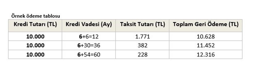 Kamu bankalarından 4 yeni kredi paketi (Bireysel destek kredisi sorgulama) - 4