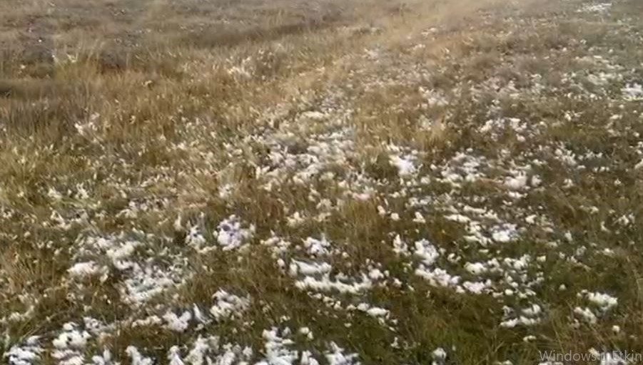 Ardahan'ın yüksek kesimlerinde kar yağışı