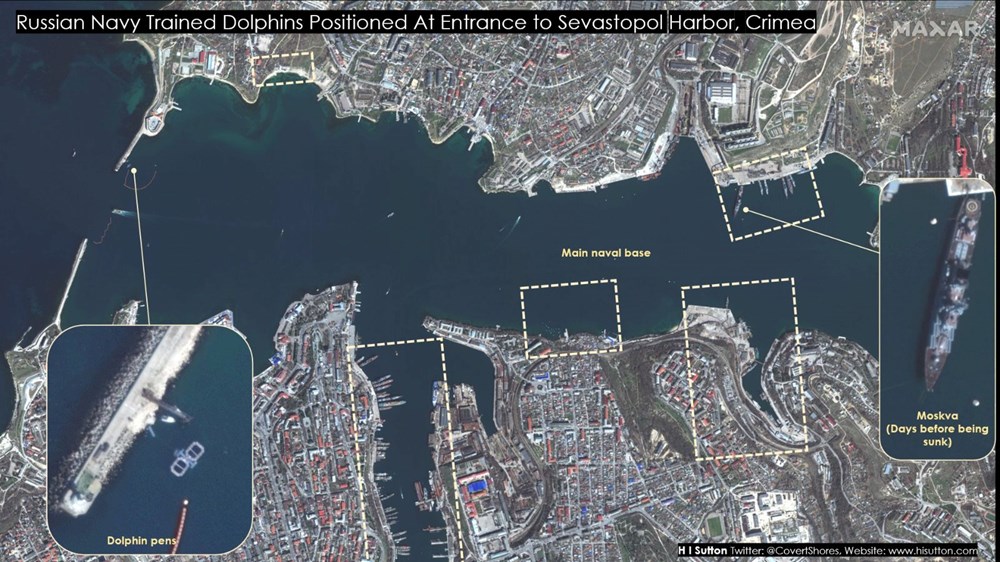 Rusya, Karadeniz’deki üssünü korumak için su altına yunuslardan oluşan bir ordu yerleştirdi: Uydu görüntüleri yayınlandı - 2