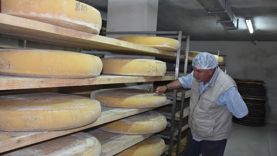 Kars gravyer peynirinin 9 ay süren lezzet yolculuğu - 1