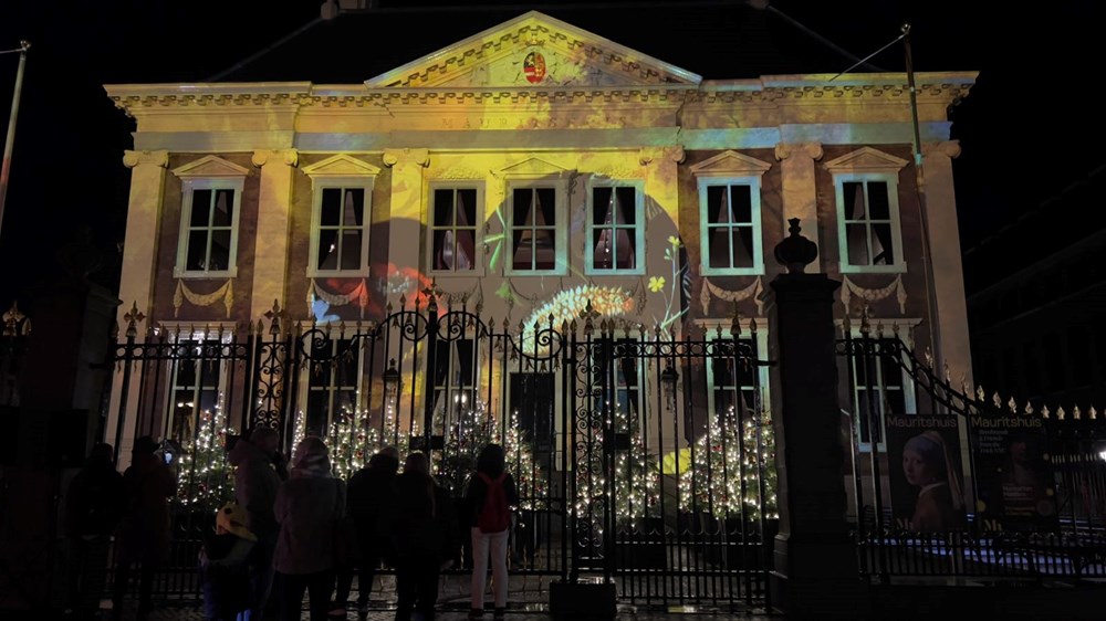 Hollanda'nın Lahey kentinde ışık festivali - 3