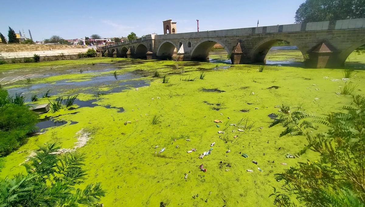 Tunca Nehri yeşile döndü