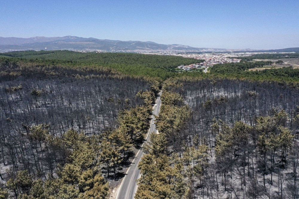 Buca'nın iki katı alan yandı - 5