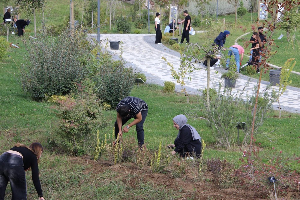 Düzce'den Dünyaya: Bir Hayalin Doğuşu 78 vI6ZgrCzFUaH5M5l6e5H8g