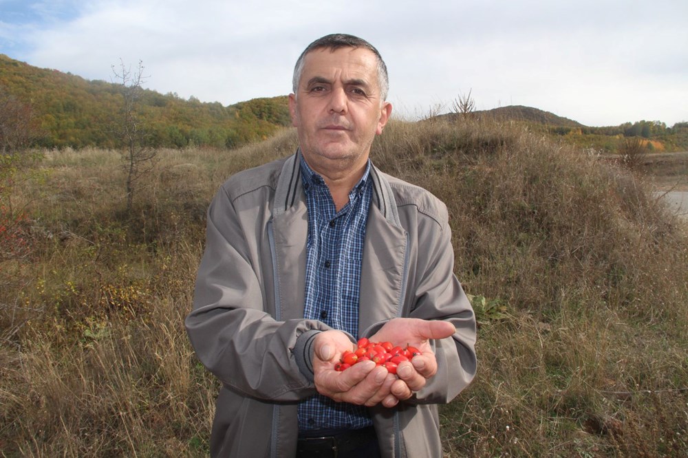 Kendiliğinden yetişen şifa deposu fazla tüketildiğinde zehir oluyor - 10