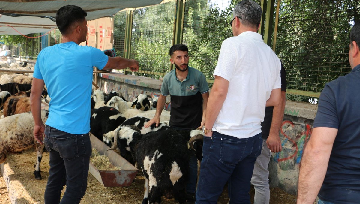 Kurban pazarlarında hareketlilik sürüyor